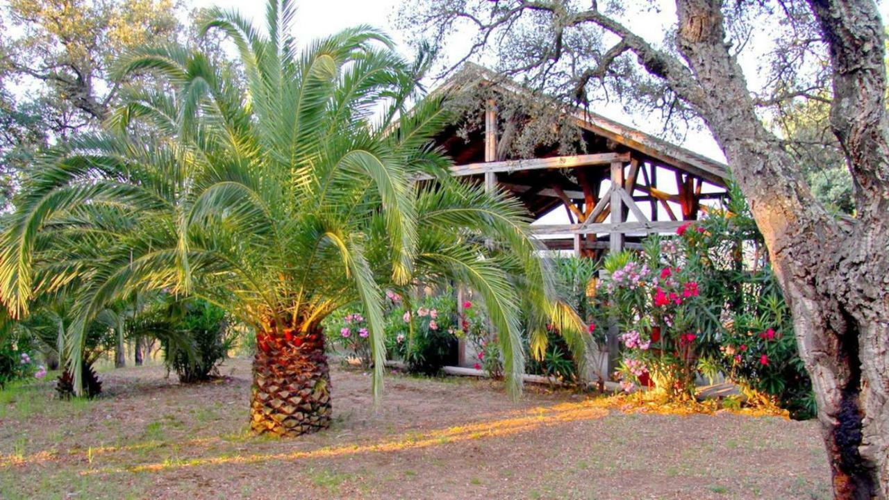 Happy Trimurti Cogolin Exterior photo